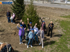 Дождь при +24 ожидается в Волгограде 25 апреля
