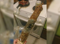 Прогнившей колбасой потчуют волгоградцев в сетевых магазинах 