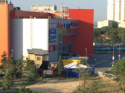 Волгоградский эколог на месте парка увидел пеньки и вырванный газон