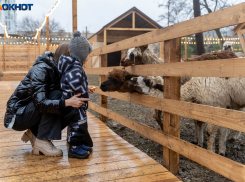 Назван топ вакансий для волгоградок в декрете: удобный график и платят 45 тысяч рублей 