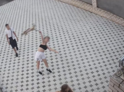 В Волгограде подростки истерзали кошку до смерти