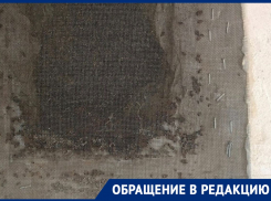 Тараканье гнездо, как из фильма ужасов, нашли в волгоградской высотке