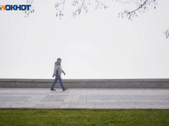 Тепло до +10 градусов и дымка: погода в Волгограде и области на 26 февраля