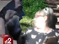 «Родину-мать зовет!» «избила» тряпкой стреш-стримерша по прозвищу Голубка