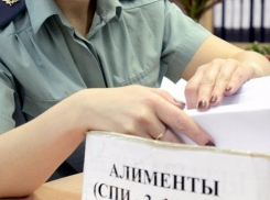 В Волгограде мать-алиментщицу посадили в колонию общего режима