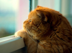 В Волгоградской области снова похолодает до -6°С