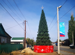 А почему бы и нет: в Волгоградской области установили в сентябре новогоднюю елку на центральной улице 