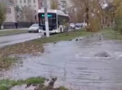 Коммунальный фонтан затопил аллею в Волгограде