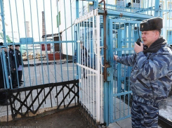 Больше 14 лет в колонии под Волгоградом проведет 28-летний мужчина за расчленение подруги 
