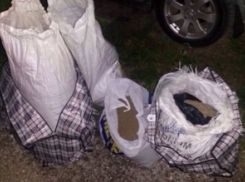 Волгоградец перевозил марихуану под сиденьем автомобиля