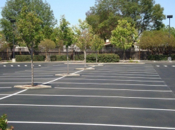 Бесплатная парковка на 100 мест появится на западе Волгограда