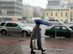 В Волгограде теплая погода продержится до Нового года