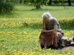 В Волгограде на острове Сарпинский нашли заблудившуюся грибницу