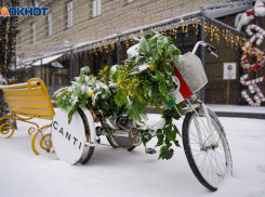 Мороз до -21 градуса накроет Волгоградскую область 13 января