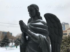 В Волгоградской области потеплело до +7ºС