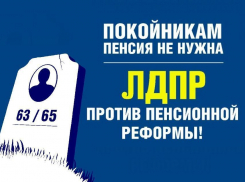 В Волгограде  ЛДПР выступила против пенсионной реформы под лозунгом «Покойникам пенсия не нужна»