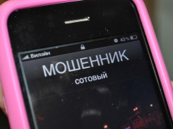 В Волгоградской области 3 жителей лишились денег из-за аферистов