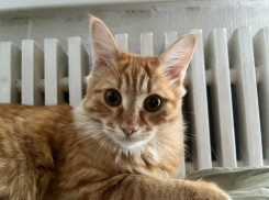 Волгоград массово включил обогреватели: в городе - до -2