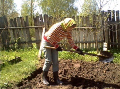 Под Волгоградом мать двоих детей убила брата и закопала его в саду