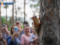 Облачность, грозы и магнитные бури: погода в Волгоградской области на 4 июня