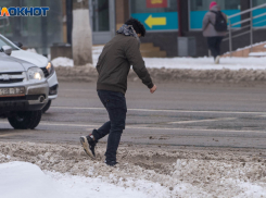 Волгоградцы «сломали» концепцию американских ученых