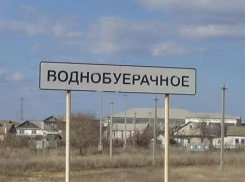 Семья из Камышина решилась на усыновление семерых детей