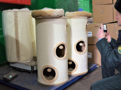 Грузинские домики для волгоградских кошек привлекли внимание на таможне