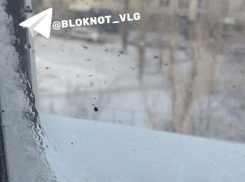 «Подвал закрыт, работы стоят»: слой льда появился на окнах замерзающих волгоградцев