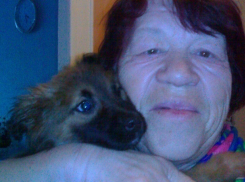 78-летняя жительница Волгограда ищет помощника для прогулок с любимой собакой 