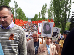 В Волгограде «Бессмертный полк» собрал более 100 тысяч участников