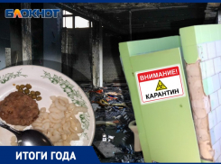 17-летний первоклассник и прогремевший на всю Россию школьный туалет: чем запомнилось образование Волгограда в 2021 году