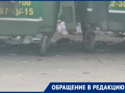 Крысиное нашествие сняли на видео в Волгограде
