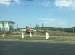 В Волгограде полностью вырублен парк на Мамаевом кургане