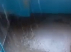 Поток ледяной воды затопил подъезд многоэтажного дома на севере Волгограда 