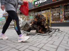 МЧС предупредило о ливне с грозой и градом в Волгоградской области