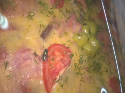 В волгоградском супермаркете продавалась пицца с мухой