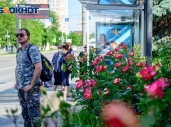 Каждый третий волгоградец не носит маску в транспорте и общественных помещениях