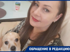 Волгоградка ищет собаку после странного нападения мужчины на нее во дворе дома