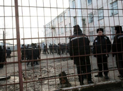 За шутку о готовящемся теракте житель Волгограда проведет в колонии один год