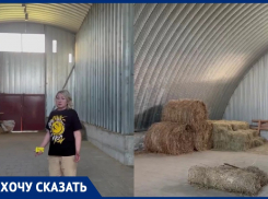 «Мы просто погибнем»: об острой нехватке сена заявил конный клуб под Волгоградом