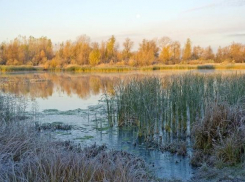 Волго-Ахтубинская пойма просто территория для извлечения бабла, – общественник Андрей Куприков
