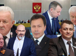 Волгоградцы в Госдуме молчаливо поддержали замедление Telegram