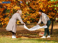 Большинство волгоградцев собираются работать на COVIкулах