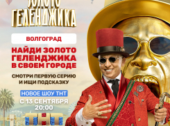 ТНТ запустил в Волгограде золотую лихорадку!