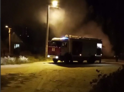 Завалы неубранных веток довели волгоградцев до поджога