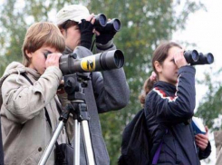 В Волгоградской области проходит «перепись» птиц 