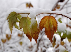 В Волгоградскую область надвигаются дождь со снегом
