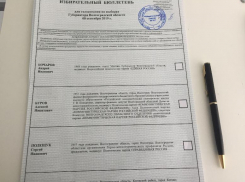 Стало известно, во сколько обошлась предвыборная кампания кандидатам в губернаторы Волгоградской области 