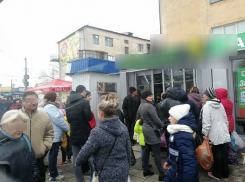  Волгоградцы разглядели предвыборную агитацию в раздаче бесплатной шаурмы