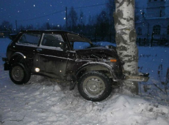Под Волгоградом сотрудники ДПС применили оружие для задержания преступника на «Ниве» 